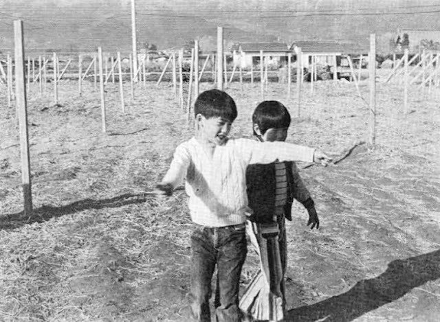 The Alien Encounter Of Masato Kawano and Katsuhiro Yamahata With Fanged Alien Humanoids In Kofu, Japan
