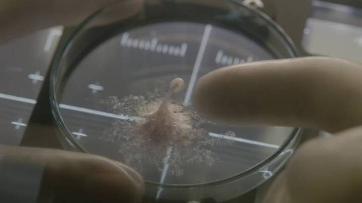 Dangerous Alien Pathogens Could Reach Earth And Humanity Is Not Prepared At All