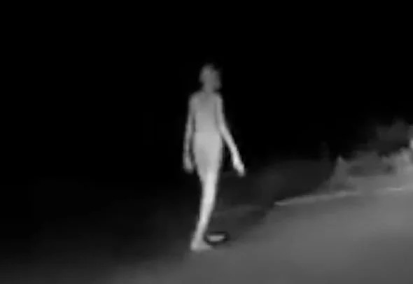 A Policeman Reported Tall White Aliens Inspecting Crop Circles 2 aliens viral video jharkhand ali