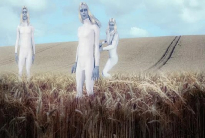 A Policeman Reported Tall White Aliens Inspecting Crop Circles