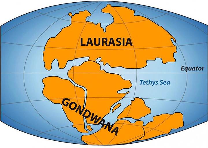 laurasia gondwana
