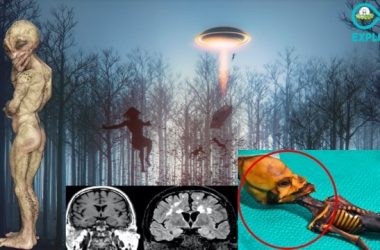 1427C043 DD86 4D41 BE70 850EE550FF3F