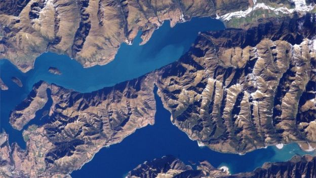 NZ
