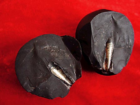 The Lanzhou Stone