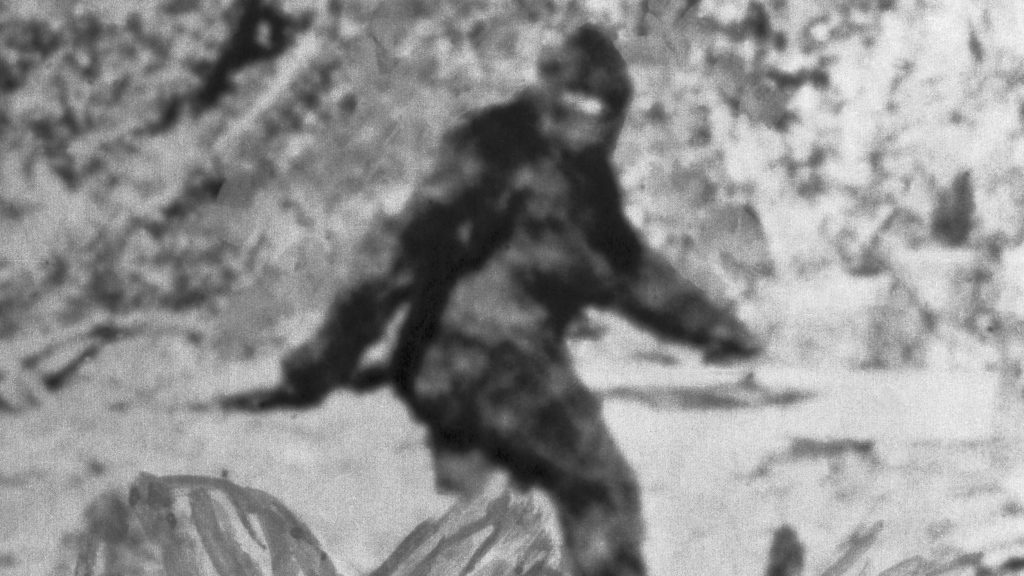 Bigfoot 517258962