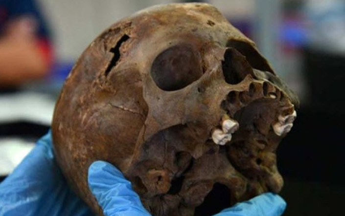 Screenshot 2022 01 01HUman