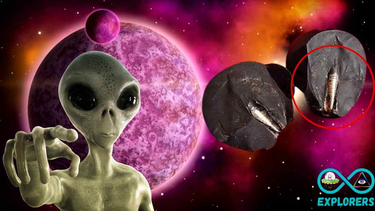 The Lanzhou Stone: Trace Of Life On Other Planets Or Remains Of An Advanced Ancient Civilization?