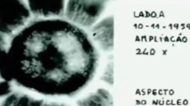 Evora's Alien Creature: Extraterrestrial Organism Captured in Portugal