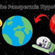 The Panspermia Hypothesis