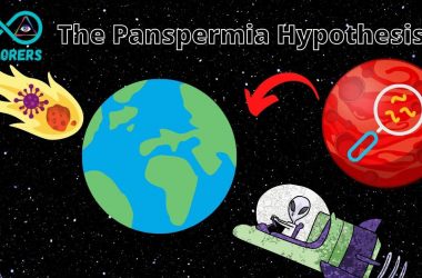 The Panspermia Hypothesis