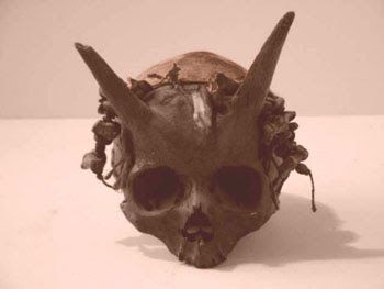 Giant Skull with horn