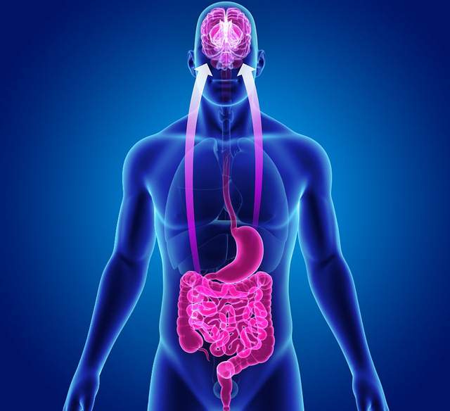 Interoception: The Sixth Sense That Is Key To Our Well Being 2 Interoception: The Sixth Sense That Is Key To Our Well Being