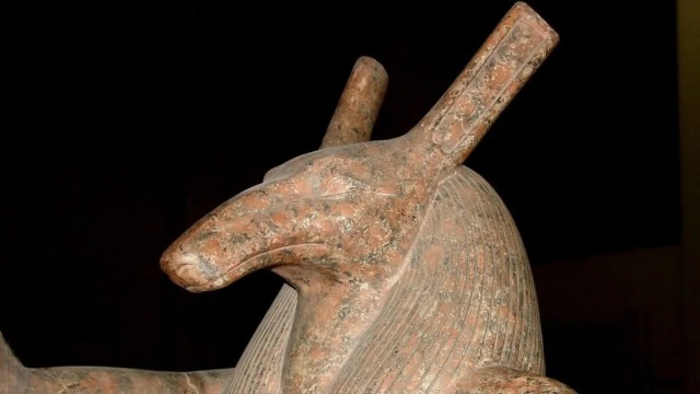 Set: Mysterious Egyptian God, Depicted As An Animal Unknown To Science