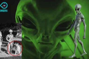 214F9164 2D6C 4222 847D D8B5B4B43C68