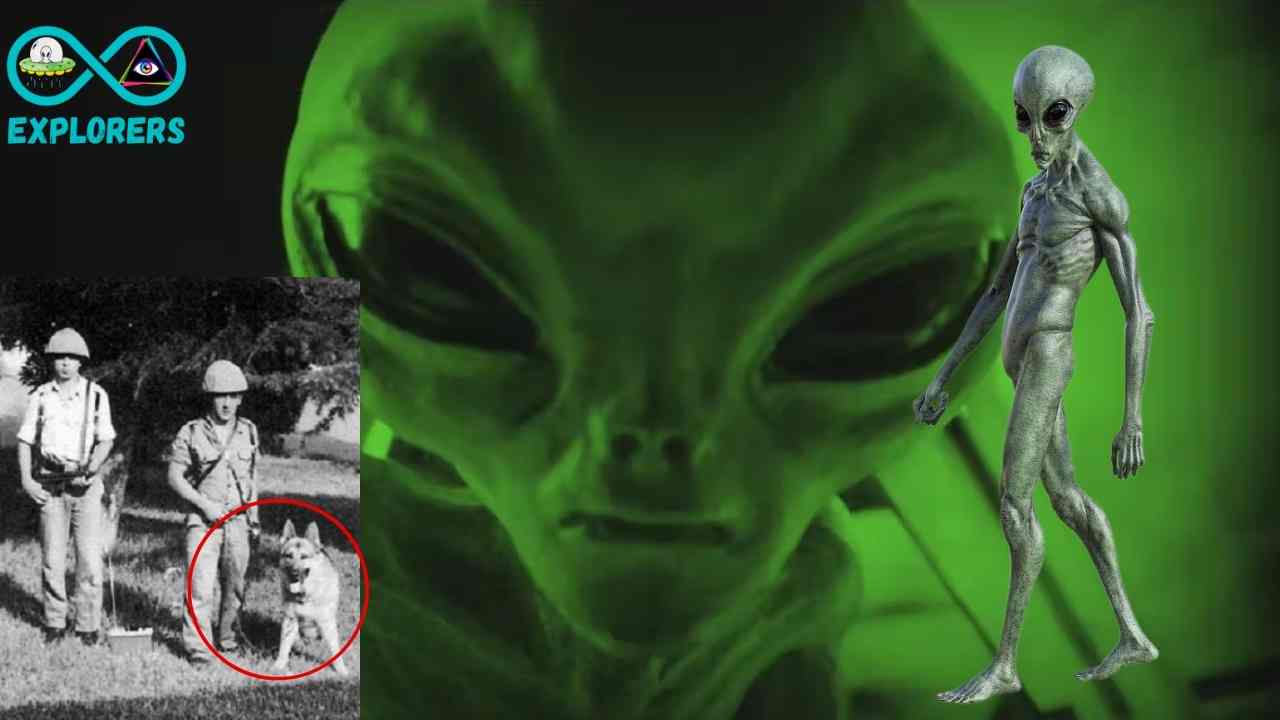 The Badajoz UFO Incident: Mysterious Encounter With A Strange Green Alien Humanoid