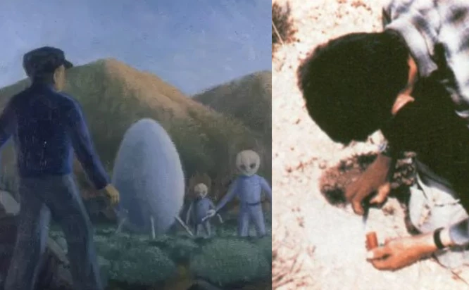 The Valensole UFO Incident: UFO Sighting And Encounter With 2 Alien Entities By Farmer Maurice Masse