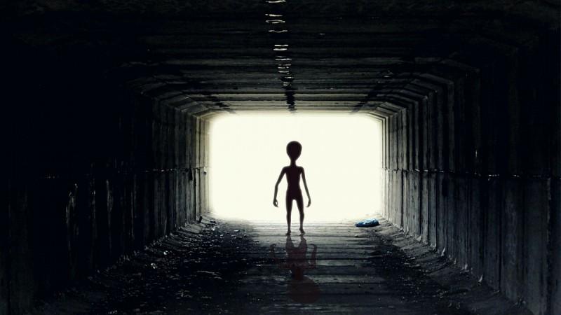 Alec Newald: A Man Who Claims To Have Spent 10 Days With Aliens 1 Alec Newald: A Man Who Claims To Have Spent 10 Days With Aliens