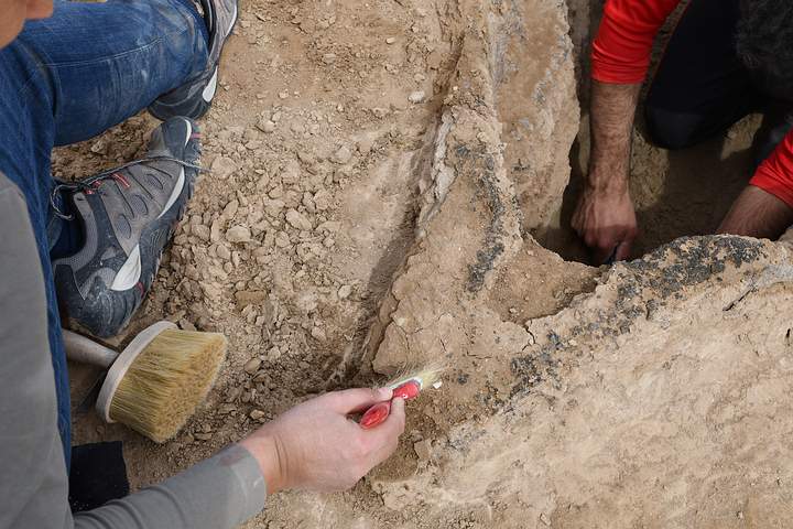 4,000-Year-Old Boat Found Buried In The Ancient City Of Uruk