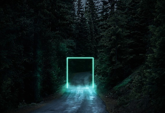 Bigfoot Are Inter-Dimensional Creatures: Eyewitnesses State They Disappear Between Worlds Using Portals 2 Bigfoot Are Inter-Dimensional Creatures: Eyewitnesses State They Disappear Between Worlds Using Portals