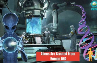 Aliens Are Created From Human DNA