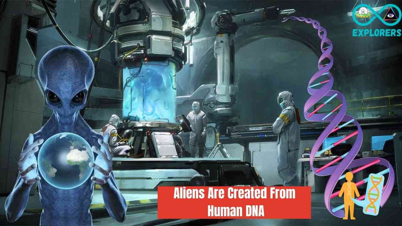 Gray Aliens Are Created From Human DNA, Says Pennsylvania Ufologist Professor