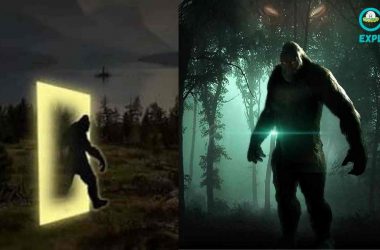 Bigfoot Interdimensional Creatures 1