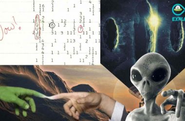 The Origin Of Wow! Signal