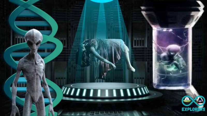 The Strange Grays Encounter Strange Visions Mothered An Alien Child And Telepathic Contact With An Alien Named Sen 1