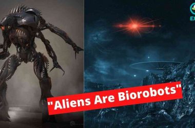 Aliens Are Biorobots Bizarre Encounter With Robotic Alien Entities