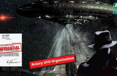 The Aviary UFO Organization Made To Disclose Confidential U.F.O Files