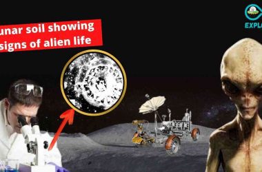 There Is Evidence Of Life On Moon USSR Spaceship Returned To Earth In 1970 Possessing Proof Of Alien Life