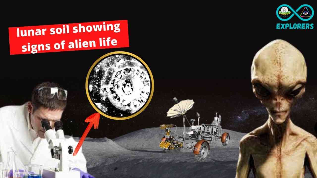 “There Is Evidence Of Life On Moon”: USSR Spaceship Returned To Earth In 1970 Possessing Proof Of Alien Life