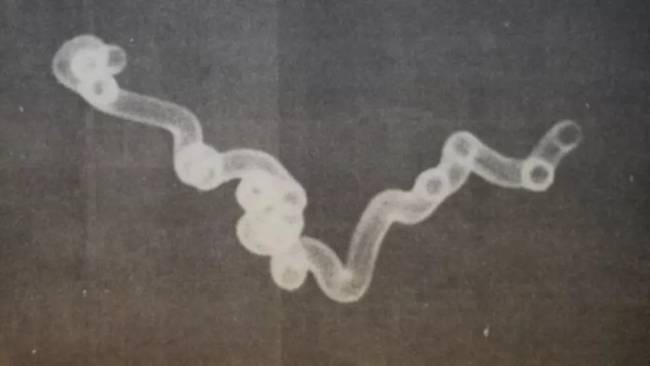The UFO Night: Multiple UFOs Photographed, Sighted And Chased By Brazilian Military