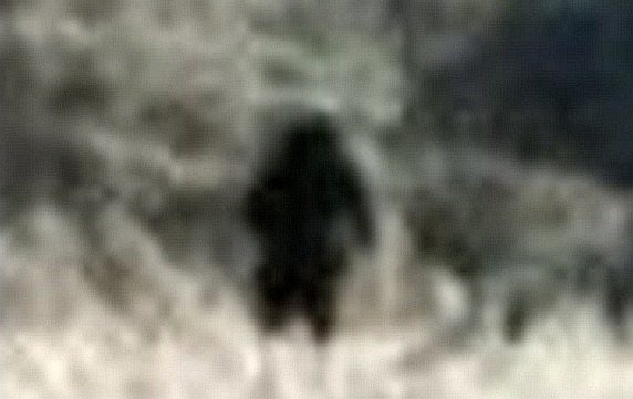 A Woman Photographed A Bigfoot-like Creature Near Roan Mountain region, North Carolina