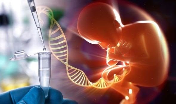 Aliens Could Have Originated On Earth: Do They Intend To Create Alien Human Hybrids? 2 Genetic Alterations( Alien Human Hybrids )