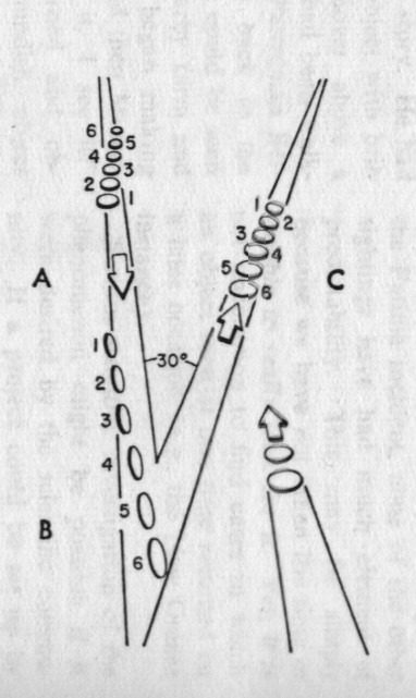 Nash-Fortenberry UFO Sighting- Eight UFOs Witnessed by Two Commercial Pilots 3 Alleged Symmetry Of The UFOs Nash-Fortenberry UFO Sighting- Eight UFOs Witnessed by Two Commercial Pilots