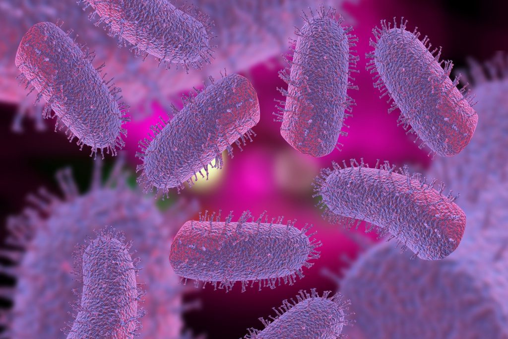 Mind Manipulating Parasites That Feeds On The Human Brains 4 Rabies Virus