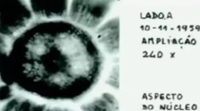 Some documents that had information about the Bariloche Case were lost in a mysterious fire.