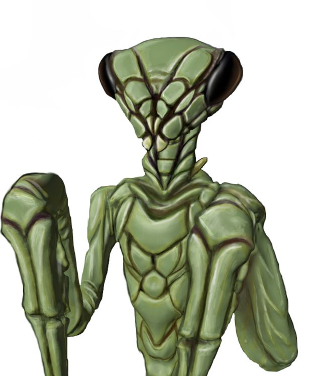 The physical appearance of Michael's other visitors. 