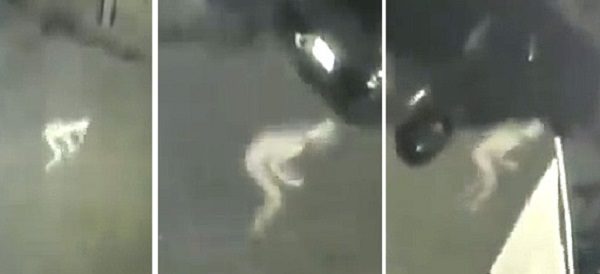 Strange Pale Humanoid Caught On CCTV Camera In Kentucky, USA 1 Strange Pale Humanoid Caught On CCTV Camera In Kentucky, USA