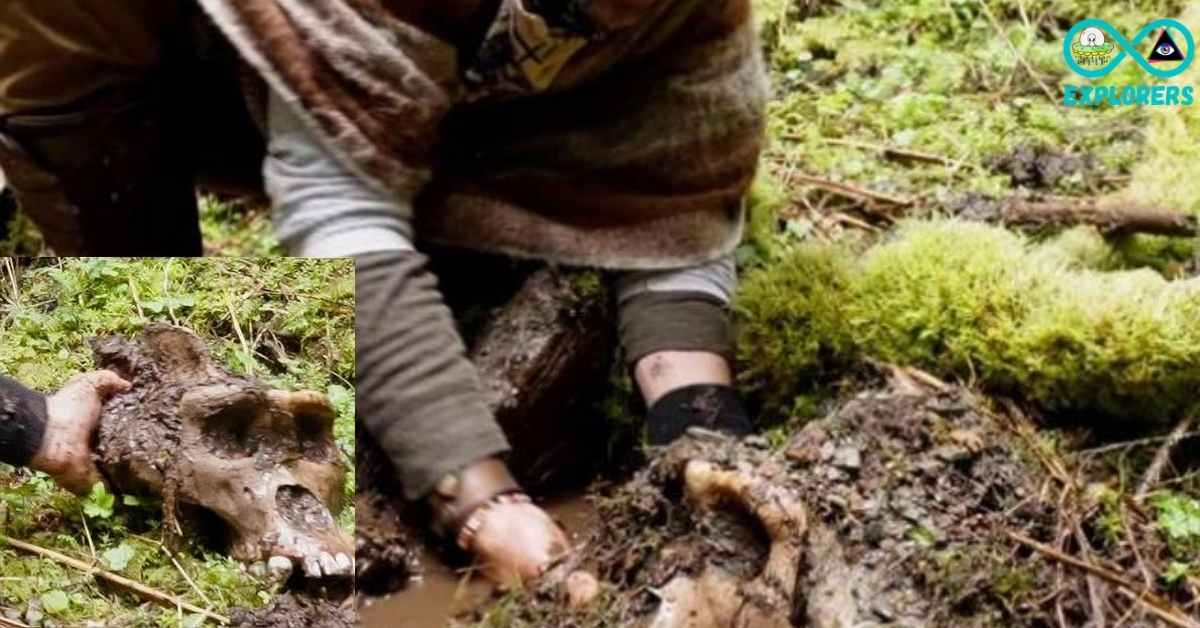 Youtuber Coyote Peterson Claims To Have Found A Bigfoot Skull In Canada 10 Bigfoot Skull
