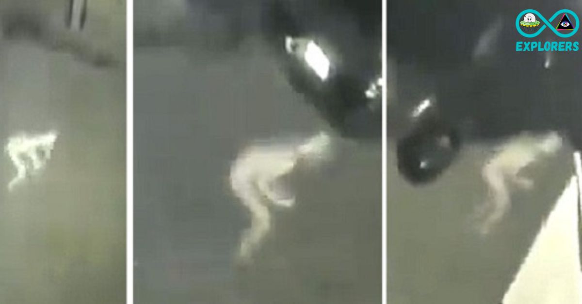 Strange Pale Humanoid Caught On CCTV Camera