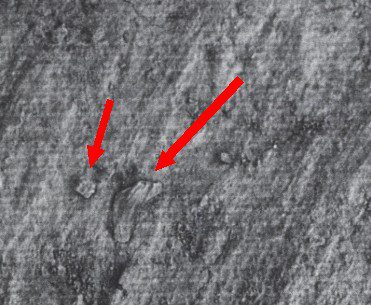 The Trans-en-Provence UFO Encounter: Strange Saucer-Shaped Craft That Landed In Renato Niccolai's Yard 2 Burnt marks allegedly left on the ground