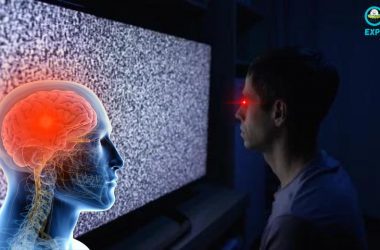 Silent Sound Spread Spectrum A Mind Influencing Technique Used In Gulf War