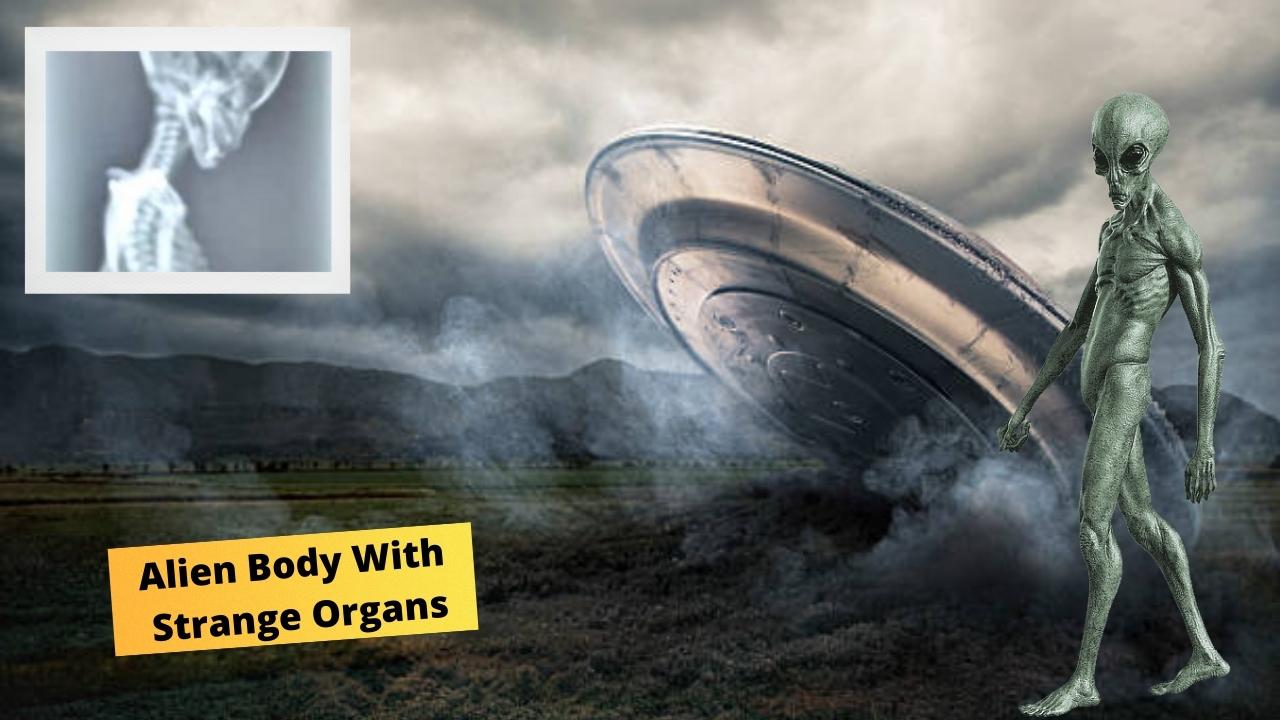 The UFO Crash In Laredo: Crashed UFO And Alien Bodies With Strange Organs