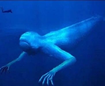 Aquatic Humanoid
