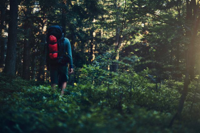 The Strange Bigfoot Encounter: Strange Texts, Missing Items, And Strange Feeling Of Fear