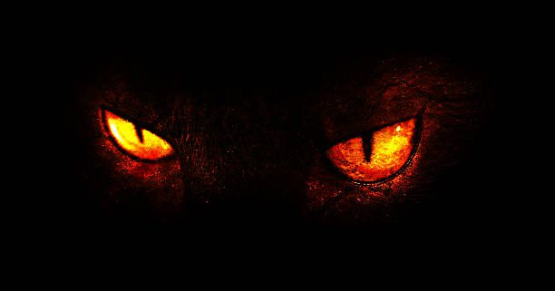The Encounter Of Mrs. Joy McKenna With A Spirit In Cotswolds 3 An illustration of burning demonic eyes that Mrs. Joy McKenna encountered