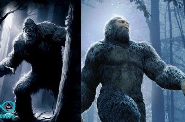 The Strange Bigfoot Encounter: Strange Texts, Missing Items, And Strange Feeling Of Fear
