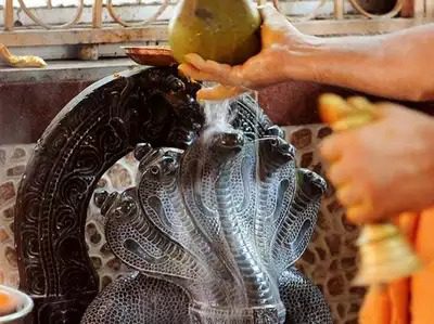 Celebration of Nag Panchami in India